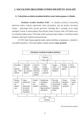 Valstybinio socialinio draudimo fondo biudžetas 6 puslapis