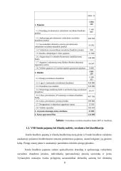 Valstybinio socialinio draudimo fondo biudžetas 8 puslapis