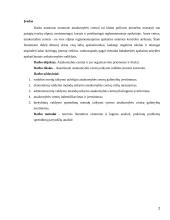 Atsakomybės centrai ir jos organizavimo priemonės ir tikslai 2 puslapis