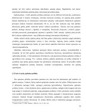 Atsakomybės centrai ir jos organizavimo priemonės ir tikslai 11 puslapis