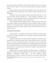 Atsakomybės centrai ir jos organizavimo priemonės ir tikslai 16 puslapis