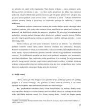 Atsakomybės centrai ir jos organizavimo priemonės ir tikslai 17 puslapis