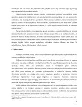 Atsakomybės centrai ir jos organizavimo priemonės ir tikslai 18 puslapis