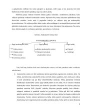 Atsakomybės centrai ir jos organizavimo priemonės ir tikslai 5 puslapis