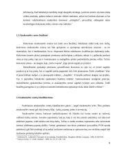 Atsakomybės centrai ir jos organizavimo priemonės ir tikslai 8 puslapis