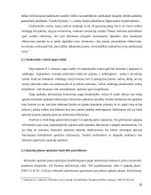 Atsakomybės centrai ir jos organizavimo priemonės ir tikslai 10 puslapis