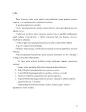 Biudžetinių įstaigų buhalterinės apskaitos organizavimas 2 puslapis