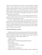 Biudžetinių įstaigų buhalterinės apskaitos organizavimas 11 puslapis