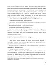 Biudžetinių įstaigų buhalterinės apskaitos organizavimas 12 puslapis