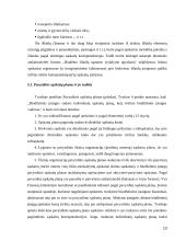 Biudžetinių įstaigų buhalterinės apskaitos organizavimas 13 puslapis