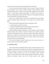 Biudžetinių įstaigų buhalterinės apskaitos organizavimas 15 puslapis