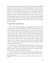 Biudžetinių įstaigų buhalterinės apskaitos organizavimas 16 puslapis