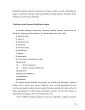 Biudžetinių įstaigų buhalterinės apskaitos organizavimas 10 puslapis