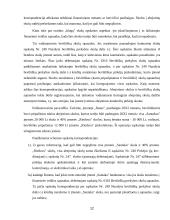 Teisės aktai reglamentuojantys debitorių sąvoką, skolų, beviltiškų skolų pripažinimo tvarka 12 puslapis