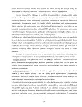 Teisės aktai reglamentuojantys debitorių sąvoką, skolų, beviltiškų skolų pripažinimo tvarka 19 puslapis