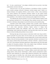 Teisės aktai reglamentuojantys debitorių sąvoką, skolų, beviltiškų skolų pripažinimo tvarka 6 puslapis