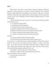 Efektyvaus vidaus audito atlikimo priemonės 2 puslapis