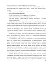 Efektyvaus vidaus audito atlikimo priemonės 13 puslapis