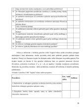 Efektyvaus vidaus audito atlikimo priemonės 16 puslapis