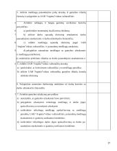 Efektyvaus vidaus audito atlikimo priemonės 17 puslapis