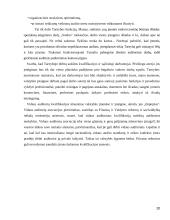 Efektyvaus vidaus audito atlikimo priemonės 20 puslapis