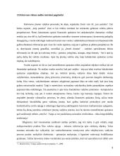 Efektyvaus vidaus audito atlikimo priemonės 3 puslapis