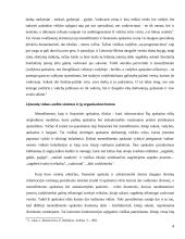 Efektyvaus vidaus audito atlikimo priemonės 4 puslapis