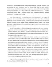 Efektyvaus vidaus audito atlikimo priemonės 5 puslapis