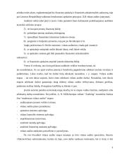 Efektyvaus vidaus audito atlikimo priemonės 7 puslapis