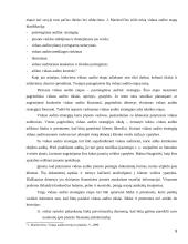 Efektyvaus vidaus audito atlikimo priemonės 8 puslapis