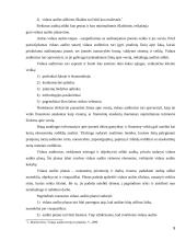 Efektyvaus vidaus audito atlikimo priemonės 9 puslapis