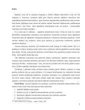 Ilgalaikio turto apskaita ir pateikimo finansinėje atskaitomybėje tvarka 2 puslapis