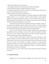 Ilgalaikio turto apskaita ir pateikimo finansinėje atskaitomybėje tvarka 11 puslapis