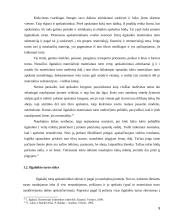 Ilgalaikio turto apskaita ir pateikimo finansinėje atskaitomybėje tvarka 9 puslapis