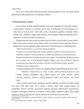 Žemės ūkio įmonės skolų ir įsipareigojimų apskaita 19 puslapis