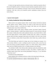 Žemės ūkio įmonės skolų ir įsipareigojimų apskaita 20 puslapis