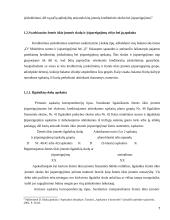 Žemės ūkio įmonės skolų ir įsipareigojimų apskaita 7 puslapis