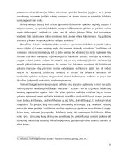 Tarptautinių buhalterinių apskaitos standartų taikymas ir jo organizavimo priemones ir tikslai 14 puslapis