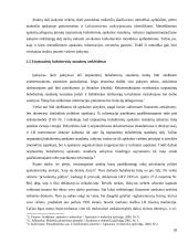 Tarptautinių buhalterinių apskaitos standartų taikymas ir jo organizavimo priemones ir tikslai 20 puslapis