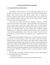 Tarptautinių buhalterinių apskaitos standartų taikymas ir jo organizavimo priemones ir tikslai 3 puslapis