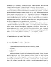 Tarptautinių buhalterinių apskaitos standartų taikymas ir jo organizavimo priemones ir tikslai 7 puslapis