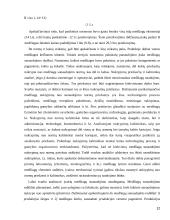 Trumpalaikio turto analizė 12 puslapis