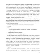 Trumpalaikio turto analizė 13 puslapis