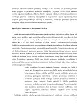 Trumpalaikio turto analizė 17 puslapis