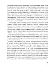 Trumpalaikio turto analizė 18 puslapis