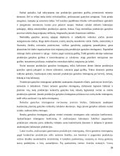 Trumpalaikio turto analizė 19 puslapis