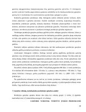 Trumpalaikio turto analizė 20 puslapis