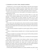 Trumpalaikio turto analizė 3 puslapis