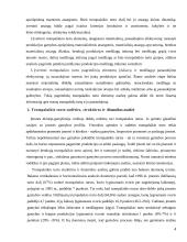 Trumpalaikio turto analizė 4 puslapis