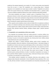 Trumpalaikio turto analizė 5 puslapis